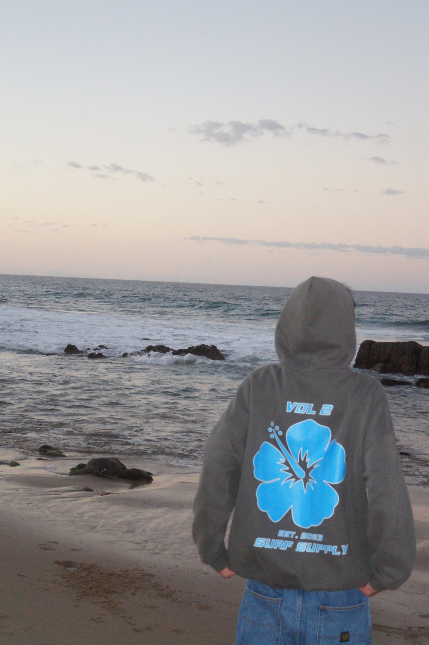 Vol. 2 Hibiscus Oversized Hoodie Grey