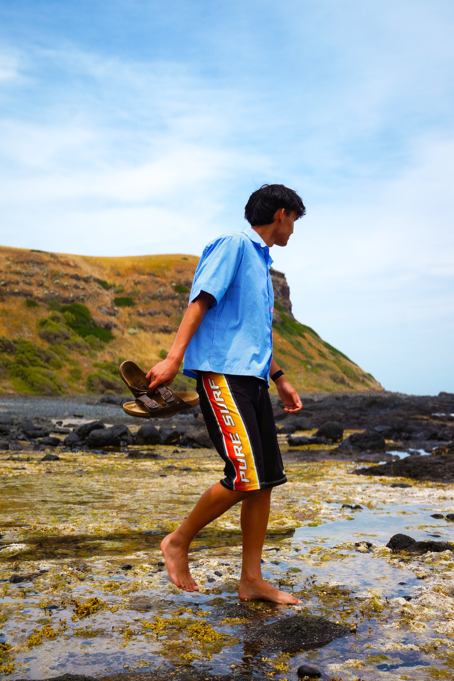 Pure Surf Sunset Boardshorts