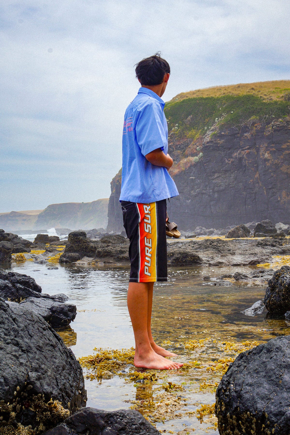 Pure Surf Sunset Boardshorts